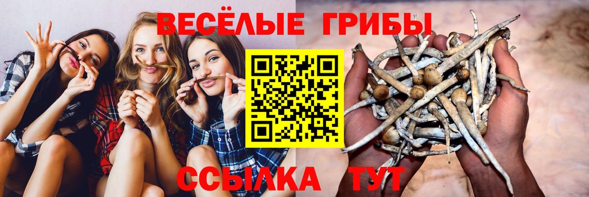 Кумертау  Псилоцибиновые грибы мицелий  Галлюциногенные грибы MAGIC MUSHROOMS  Вход с VPN 